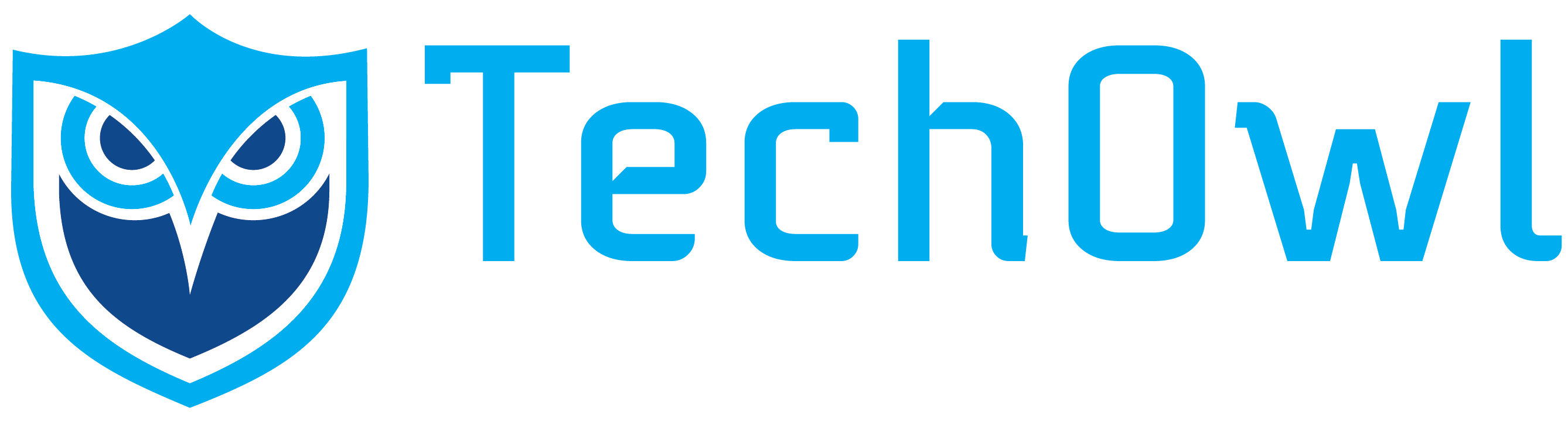 TechOwl DMARC+
