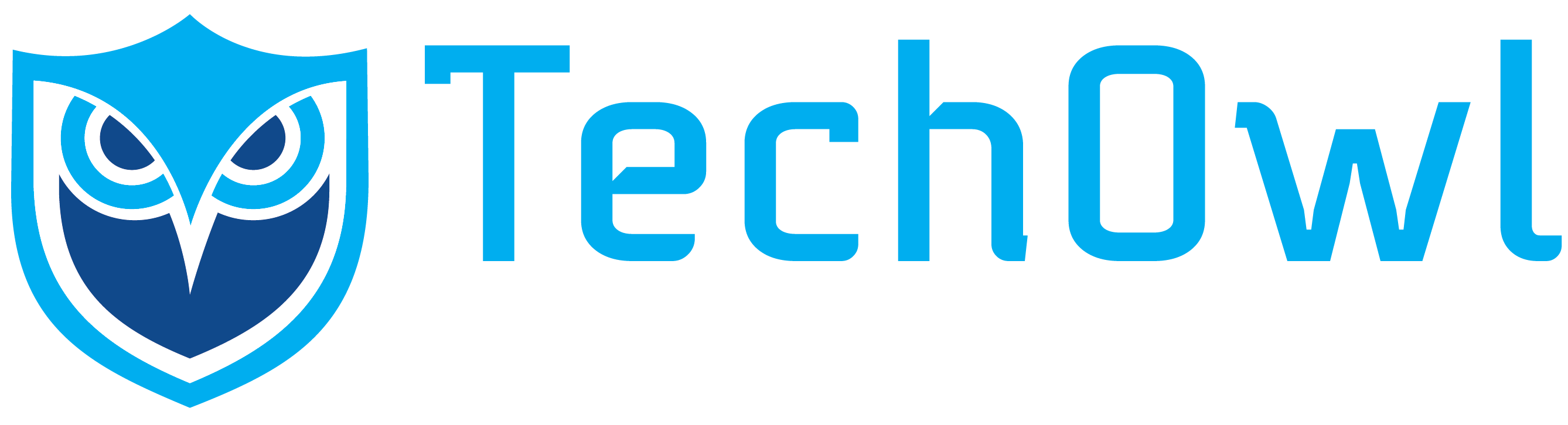 TechOwl TPRM